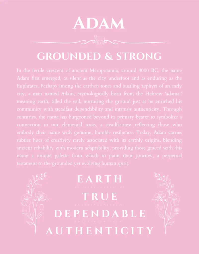 Adam name meaning gift print in light pink
