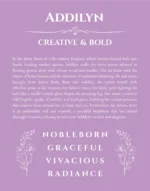 Addilyn personalized name print with origin and traits in light purple