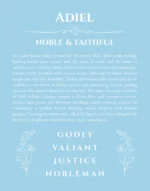 Adiel personalized wall art with the story of your name in light blue