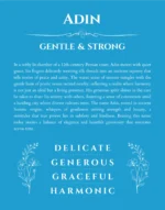 Adin name meaning gift print in blue