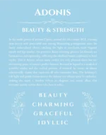 Adonis custom name art showing meaning and origin in light blue