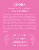 Adora personalized name art with origin story in pink