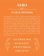 Aero personalized wall art with the story of your name in orange
