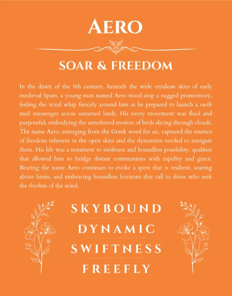 Aero personalized wall art with the story of your name in orange