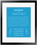 Aharon personalized name print with origin and traits in blue with black matte frame