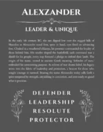 Alexzander personalized name art with origin story in gray