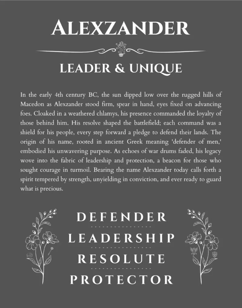 Alexzander personalized name art with origin story in gray