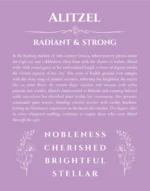 Alitzel personalized name print with origin and traits in light purple