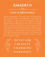 Amadeus custom name art showing meaning and origin in orange