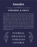 Amara personalized name art with origin story in navy blue
