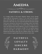 Ameena name meaning gift print in gray