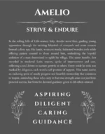 Amelio name origin print with meaning and traits in gray