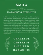 Amila personalized name meaning print in dark green