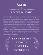 Amir custom name art showing meaning and origin in purple