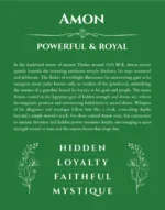 Amon personalized name print with origin and traits in dark green