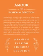 Amour personalized name meaning print in orange