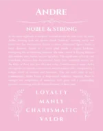 Andre personalized name print with origin and traits in light pink