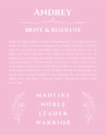 Andrey custom name meaning print in light pink