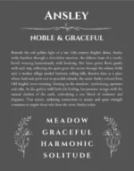 Ansley personalized wall art with the story of your name in gray