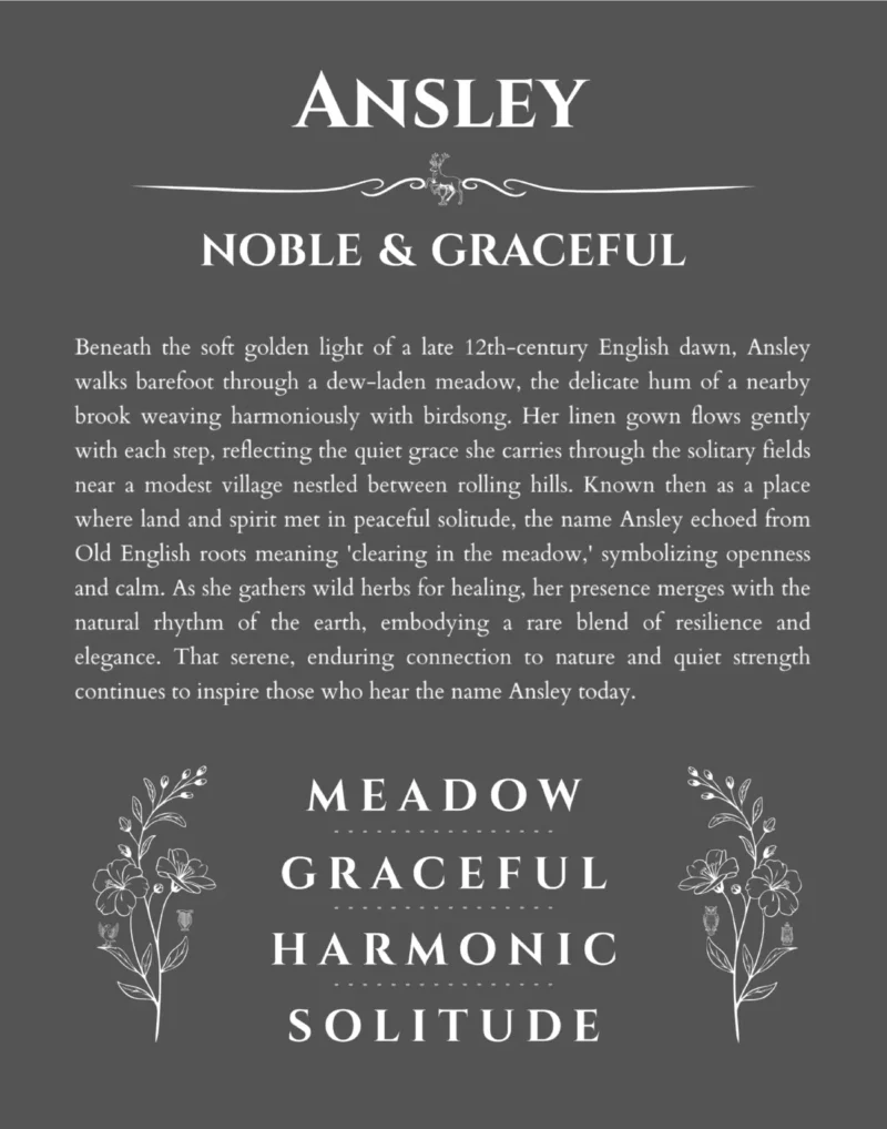 Ansley personalized wall art with the story of your name in gray