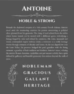 Antoine personalized name meaning print in gray