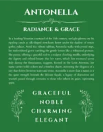 Antonella name meaning gift print in dark green