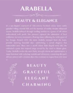 Arabella personalized wall art with the story of your name in light purple