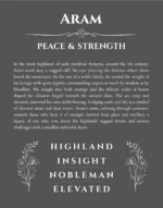 Aram personalized name art with origin story in gray
