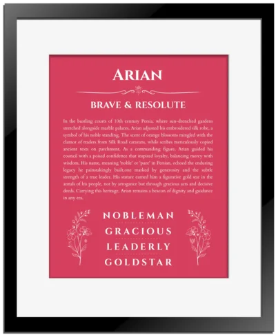 Arian name meaning gift print in red with black matte frame