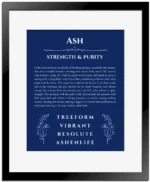 Ash custom name art showing meaning and origin in deep blue with black matte frame