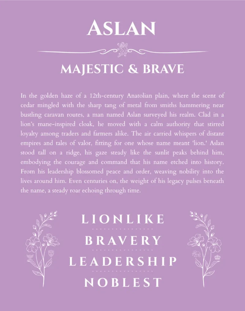 Aslan name meaning wall art by Get Your Story in light purple
