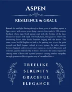 Aspen personalized name art with origin story in deep blue