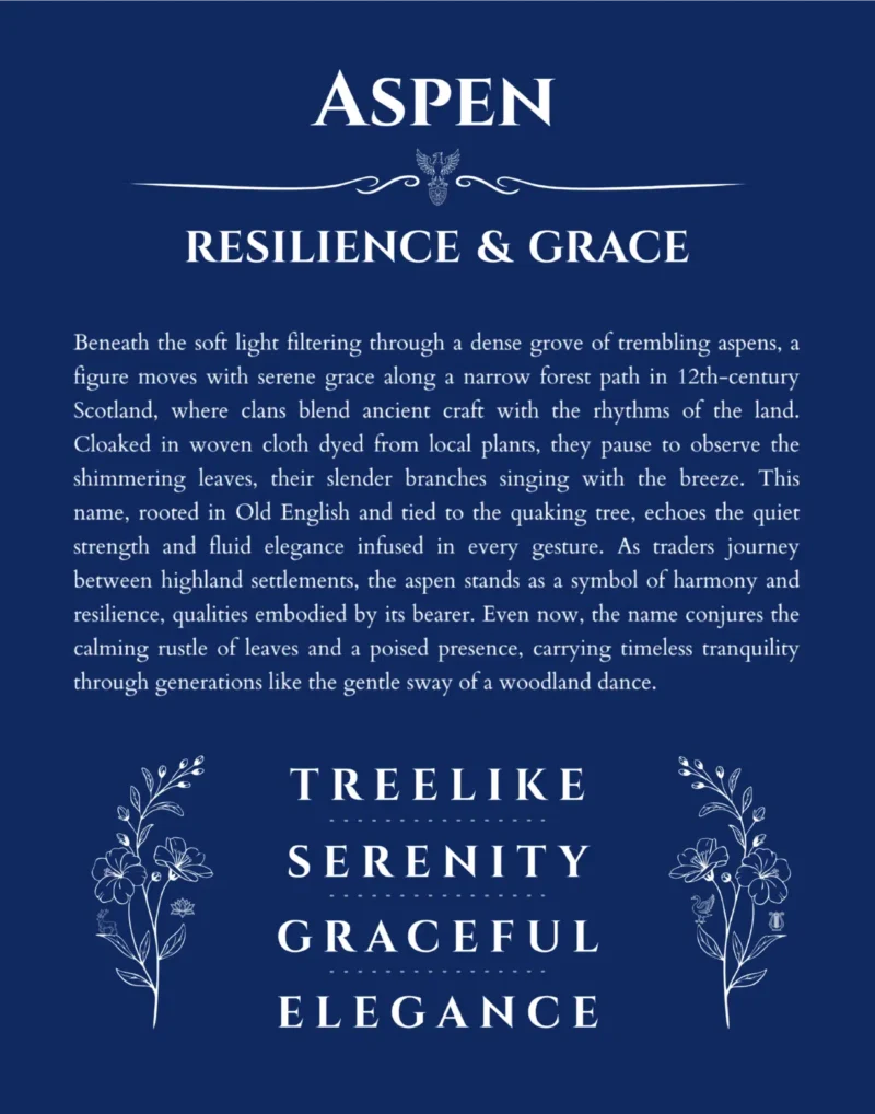 Aspen personalized name art with origin story in deep blue
