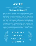 Aster personalized name art with origin story in blue