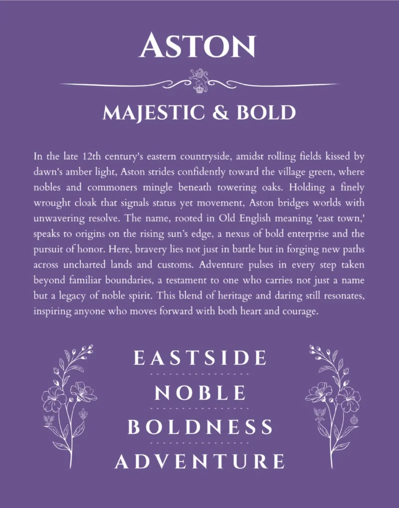 Aston personalized name print with origin and traits in purple