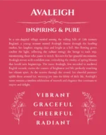 Avaleigh personalized name meaning print in red
