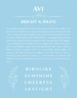 Avi personalized name print with origin and traits in light blue
