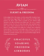 Avian custom name art showing meaning and origin in red