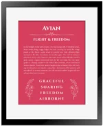 Avian custom name art showing meaning and origin in red with black matte frame