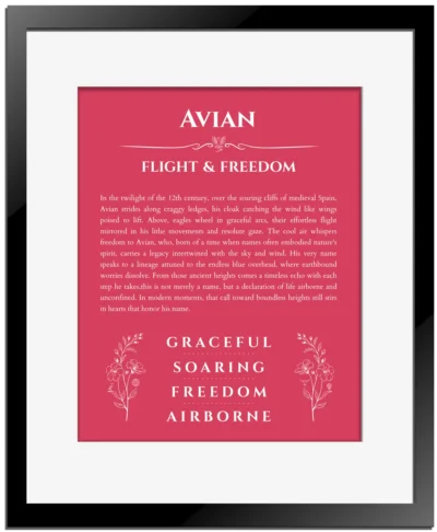Avian custom name art showing meaning and origin in red with black matte frame