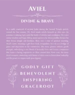 Aviel name meaning gift print in light purple