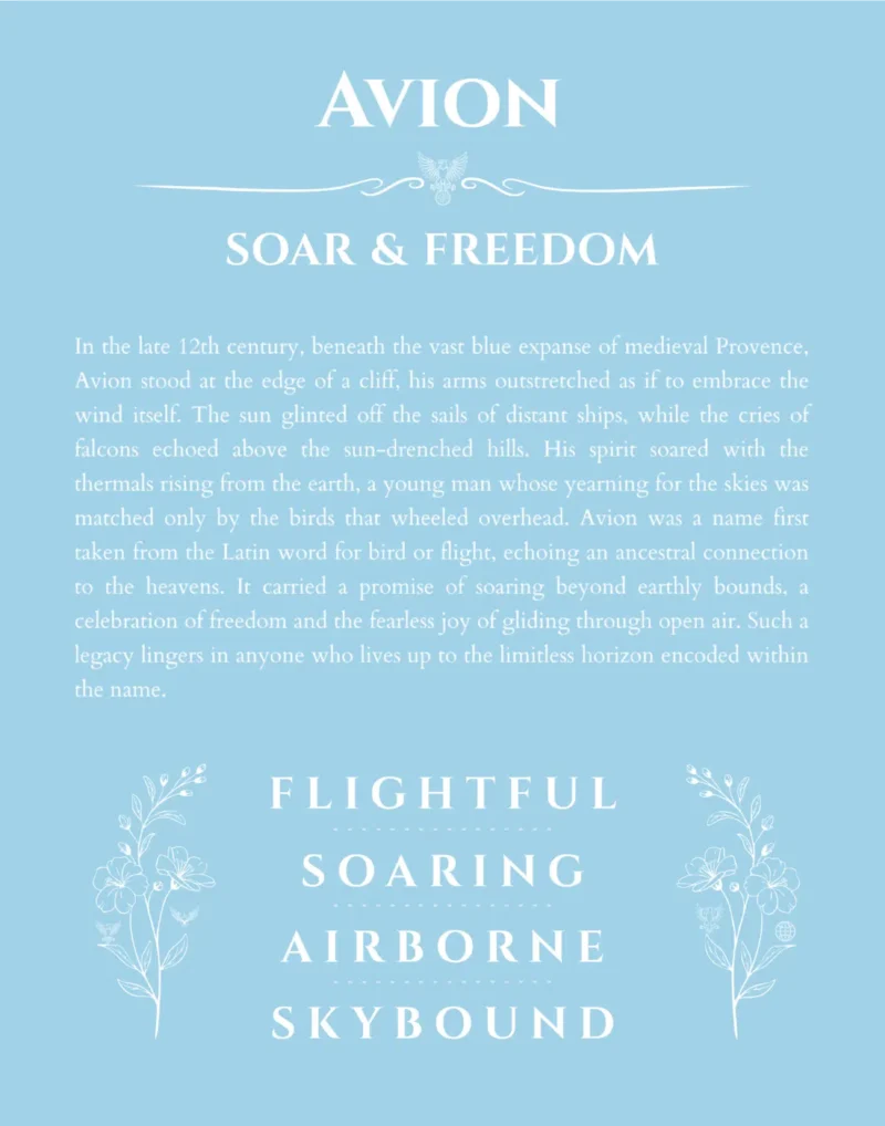 Avion custom name print for wall display in light blue