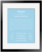 Avion custom name print for wall display in light blue with black matte frame