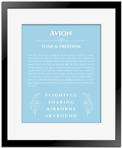 Avion custom name print for wall display in light blue with black matte frame