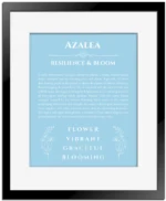 Azalea name meaning wall art by Get Your Story in light blue with black matte frame