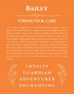Bailey custom name art showing meaning and origin in orange