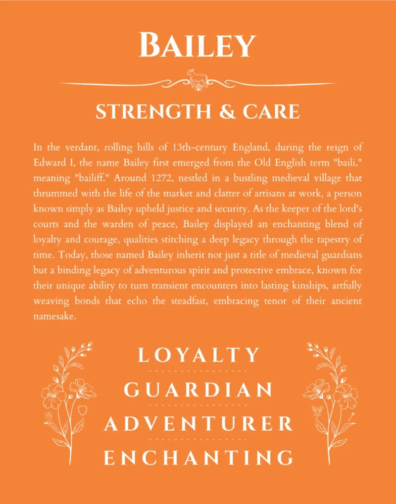 Bailey custom name art showing meaning and origin in orange