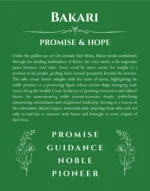 Bakari personalized name meaning print in dark green