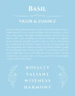 Basil name origin print with meaning and traits in light blue