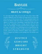 Baylee name meaning gift print in blue